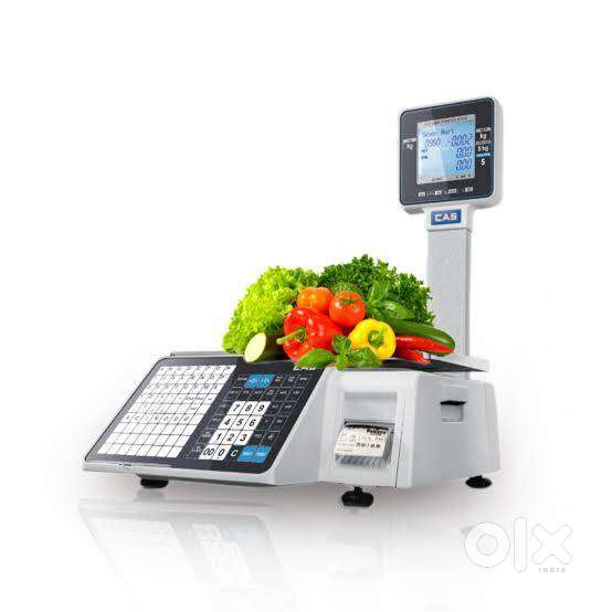 CAS Digital Weighing Machine with Display & Keypad