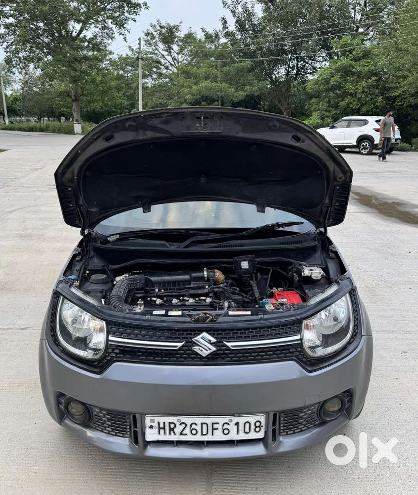 Maruti Suzuki Ignis 1.2 Delta Mt, 2017, Cng & Hybrids