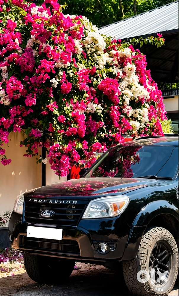 Ford Endeavour Diesel 2010