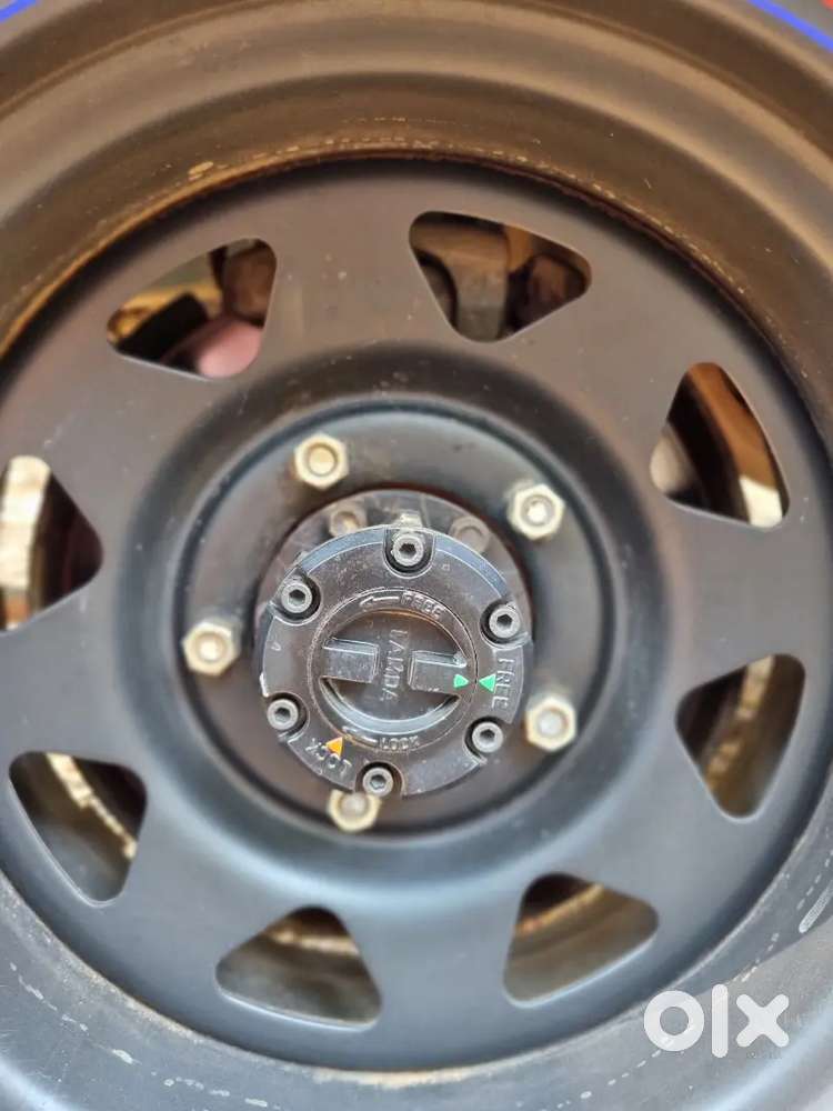 2021 Gypsy King Valid Till 2036