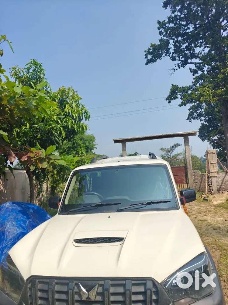 Mahindra Scorpio Diesel 2024 (only For Monthly Rent Porpose)