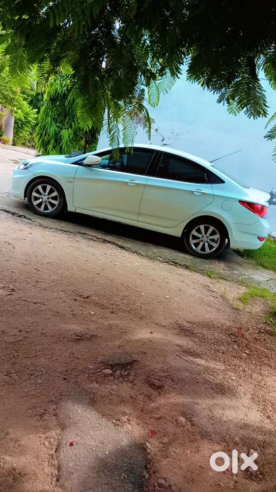 Verna Fludic Sx 2011