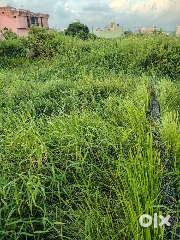 21.6&times;42 साइज का प्लॉट शेल के लिए