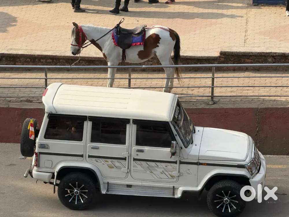Mahindra Bolero 2014 Diesel Well Maintained