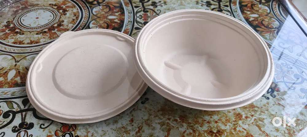 Clearance Sale: Premium Disposable Food Containers