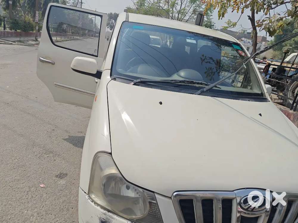 Xylo White E8 M Eagle