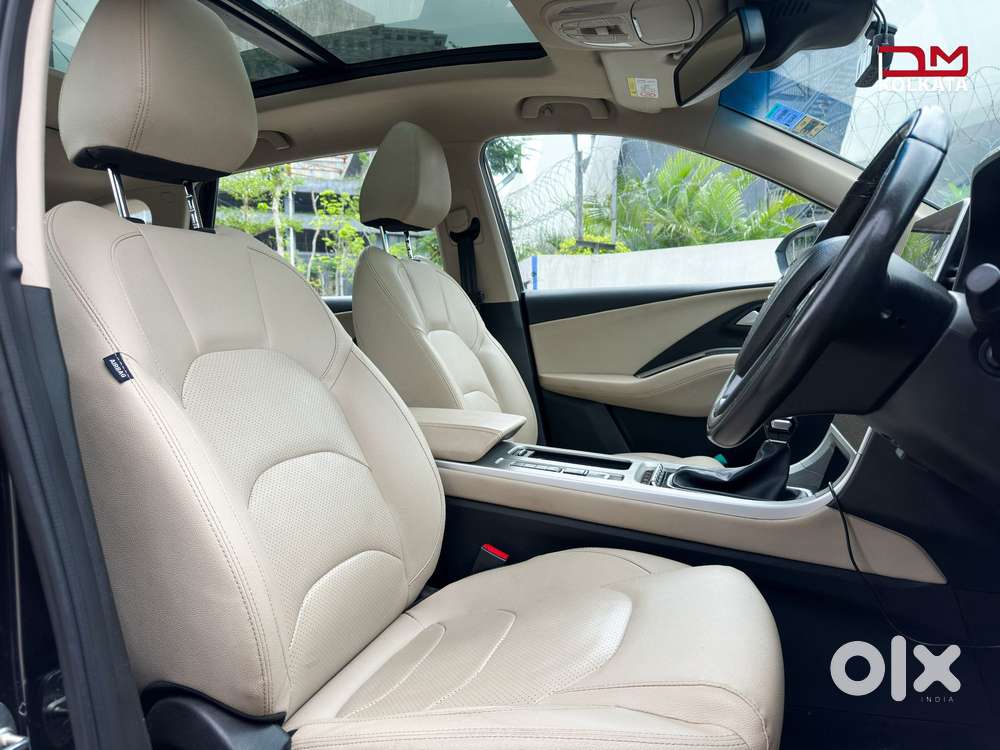 Mg Hector Savvy Pro Cvt, 2023, Petrol