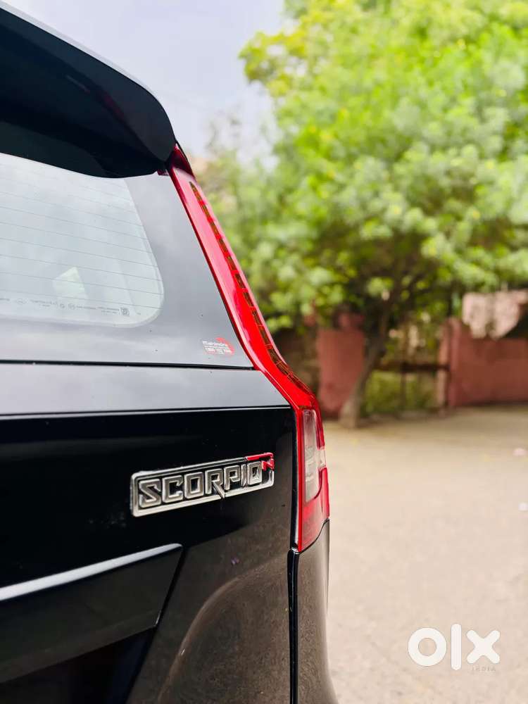 Mahindra Scorpio-n 2.0 Z8 L Petrol Mt 7 Str, 2024, Petrol