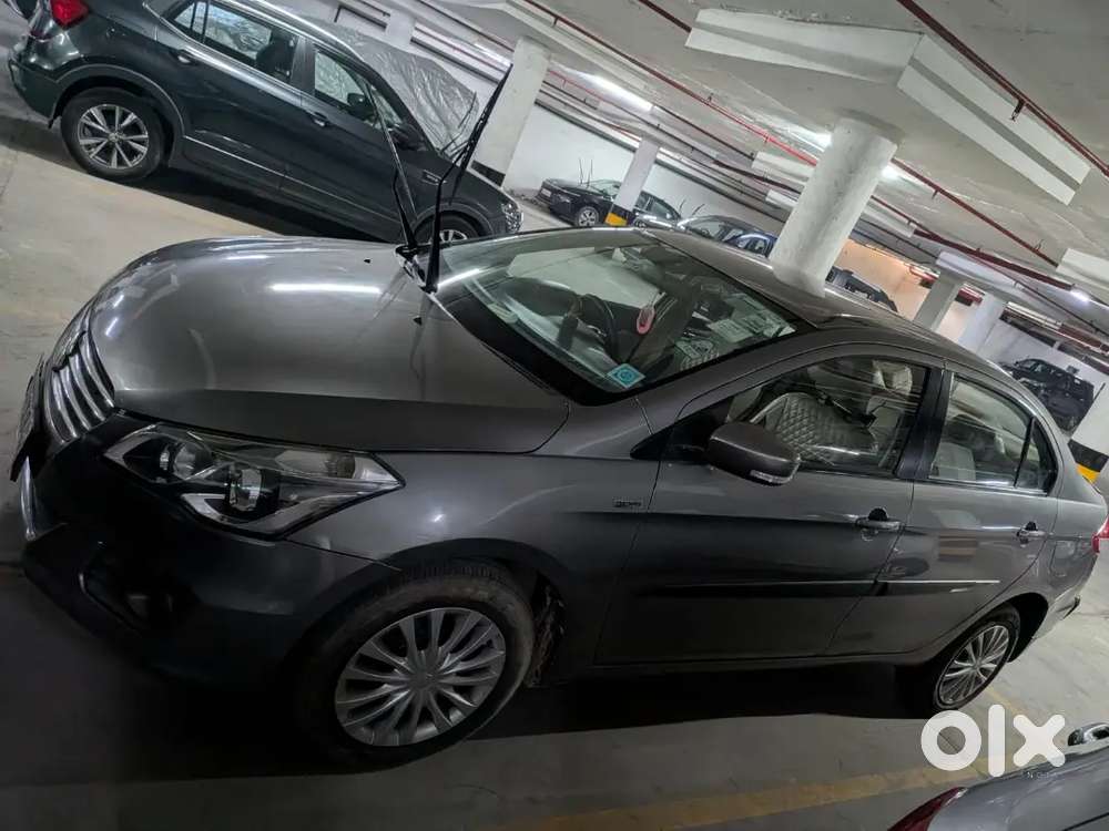Maruti Suzuki Ciaz 2016 Diesel Well Maintained