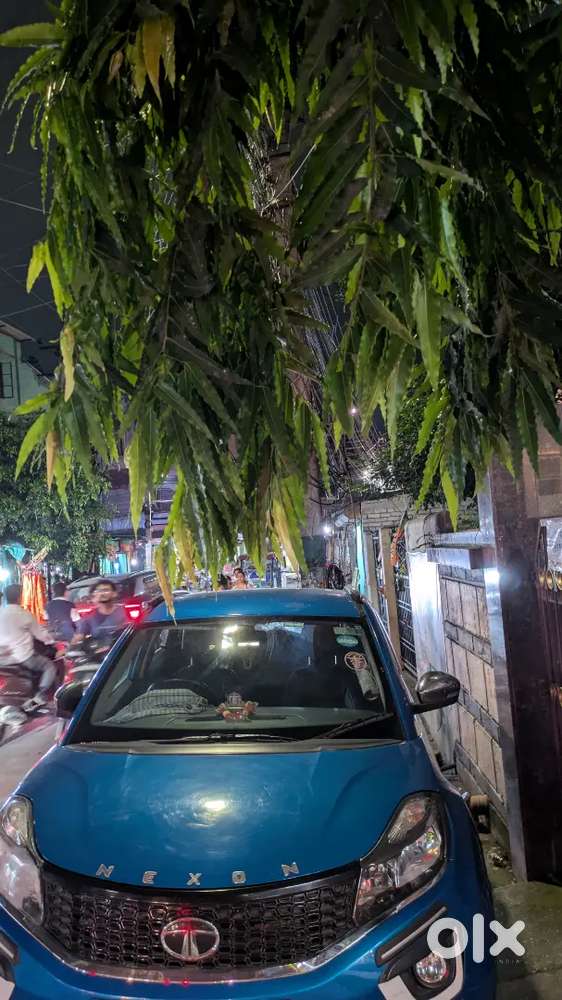 Tata Nexon 2019 Petrol Well Maintained