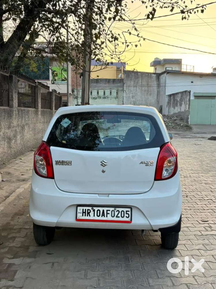 Maruti Suzuki Alto 800 2019 Cng & Hybrids 79000 Km Driven