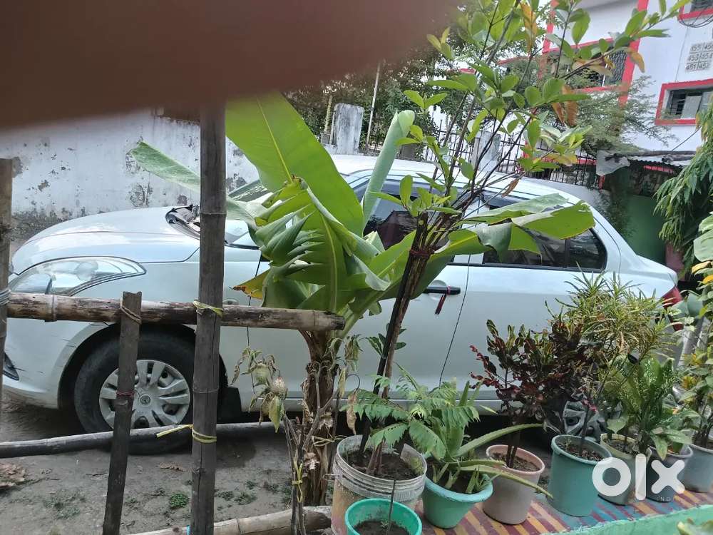 Maruti Suzuki Swift Dzire Tour 2022 Cng & Hybrids 41000 Km Driven