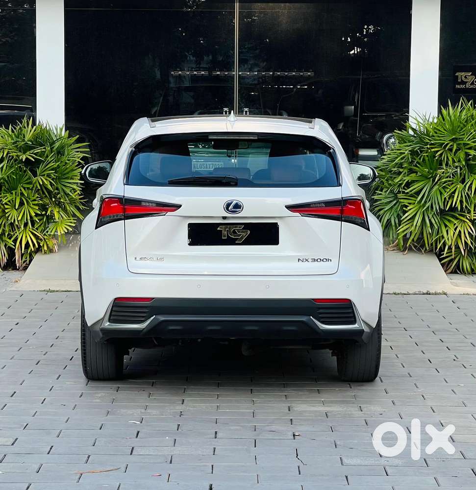 Lexus Nx Lexus-nx-300h-luxury, 2020, Petrol