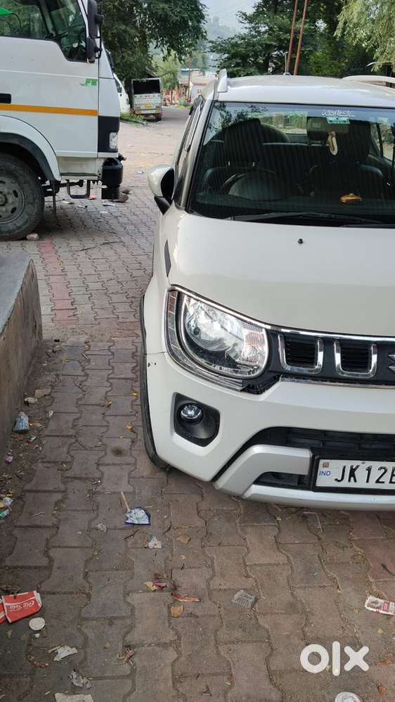 Maruti Suzuki Ignis Petrol 2020