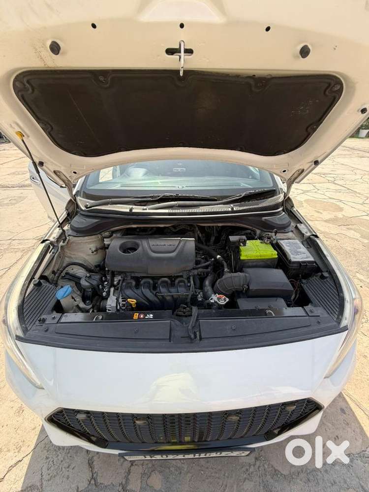 Full Top Model 1.6 Verna