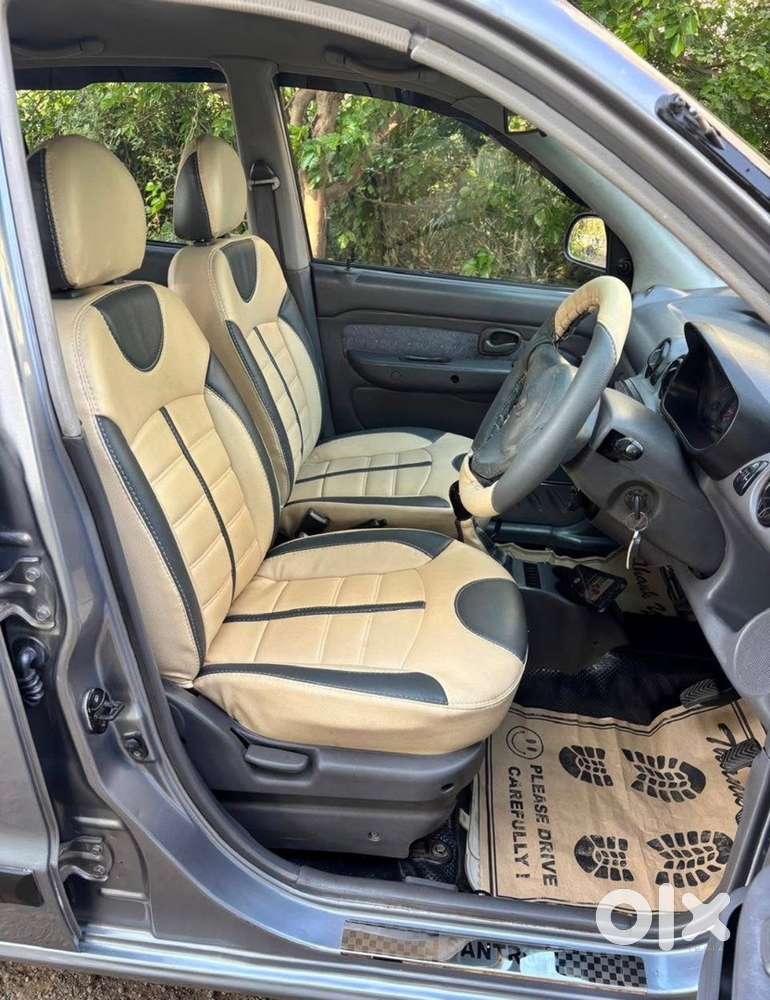 Hyundai Santro Xing 2010 Petrol Well Maintained