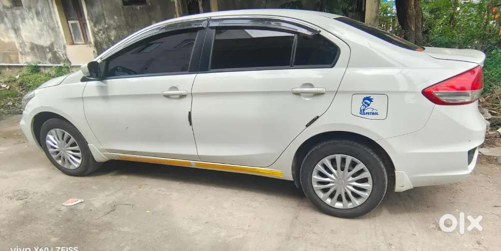 Maruti Suzuki Ciaz Alpha 2025 Hybrid T Board