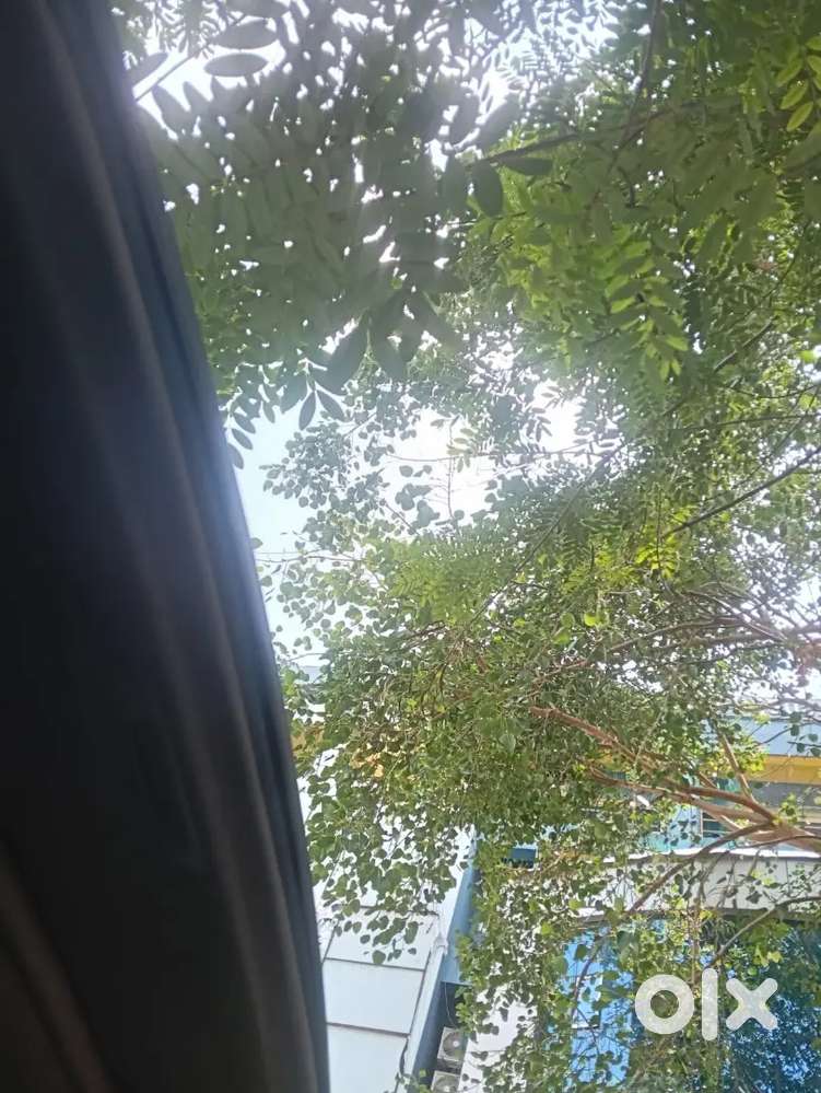 Fresh Condition