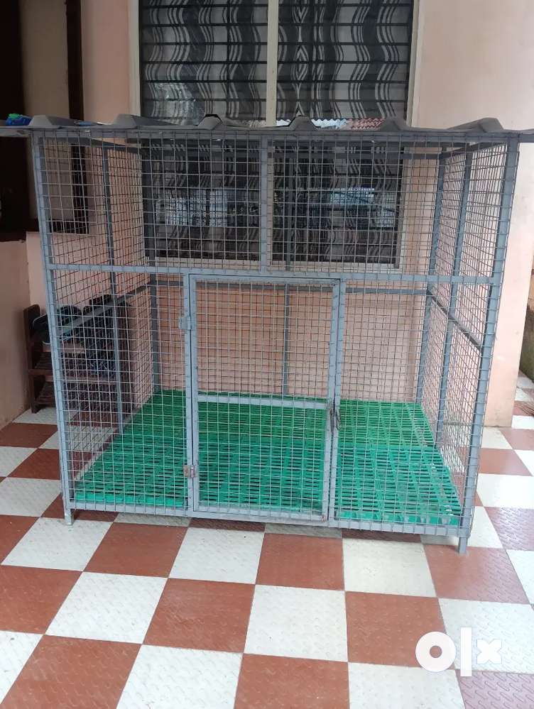 Olx kennel best sale