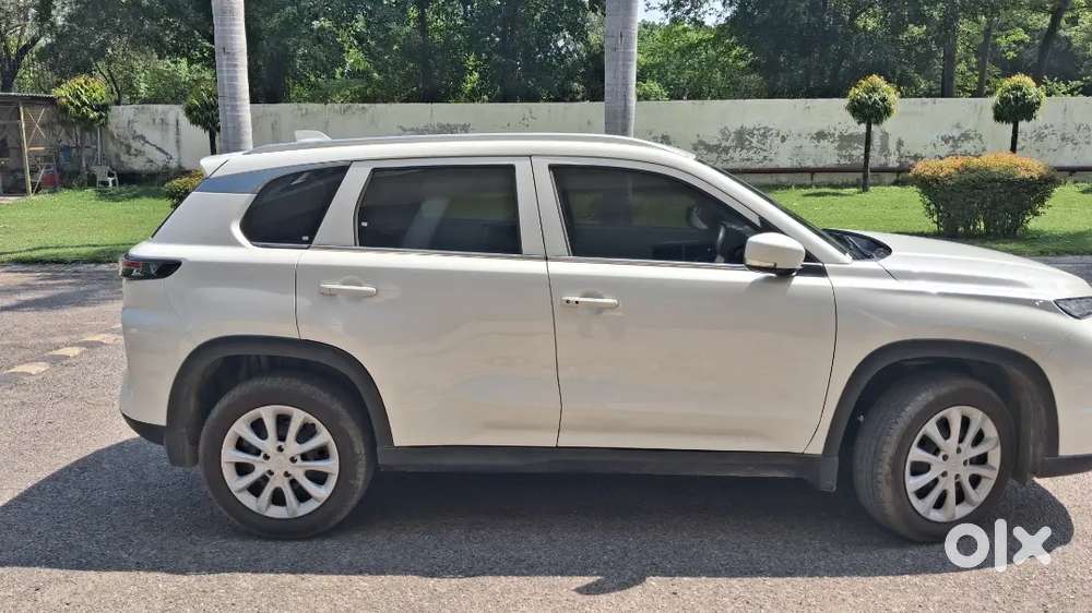Grand Vitara Sigma White 3 Month Old