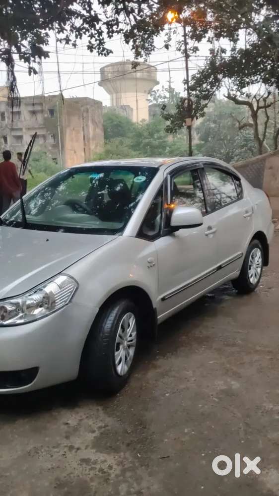 2010 Model