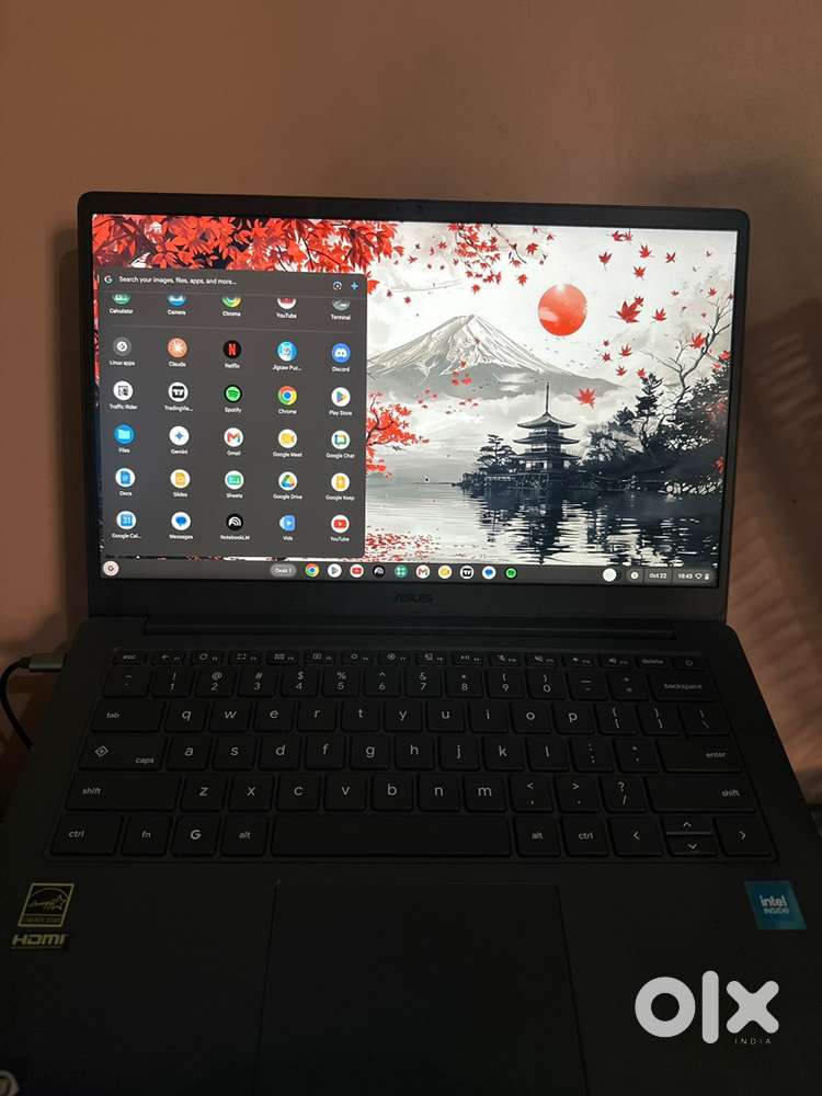 Asus Chromebook Cx14 / Brand New Condition