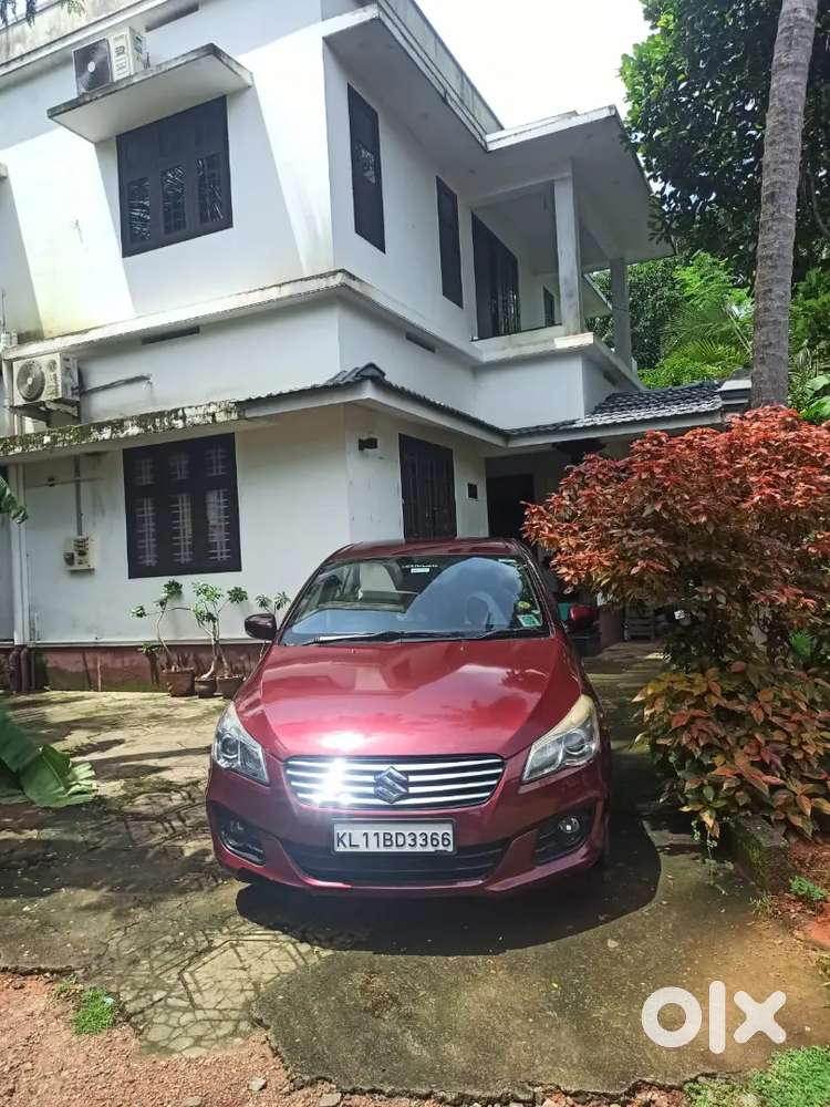 Maruti Suzuki Ciaz 2016 Petrol Automatic