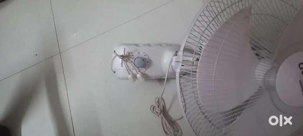 Wall fan of crompton company
