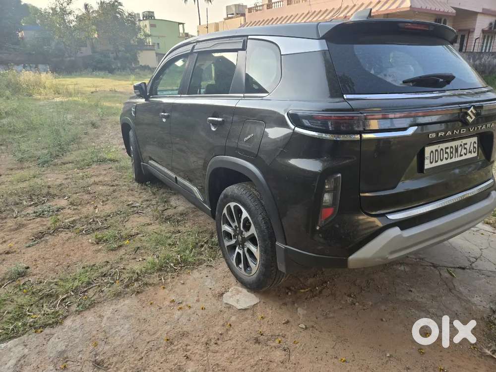 Model 2023 Jul Well Condition Single Hand Use