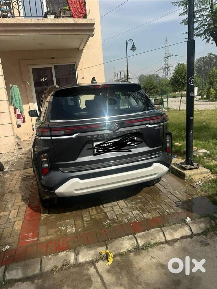 Maruti Suzuki Grand Vitara 2024 Petrol Well Maintained