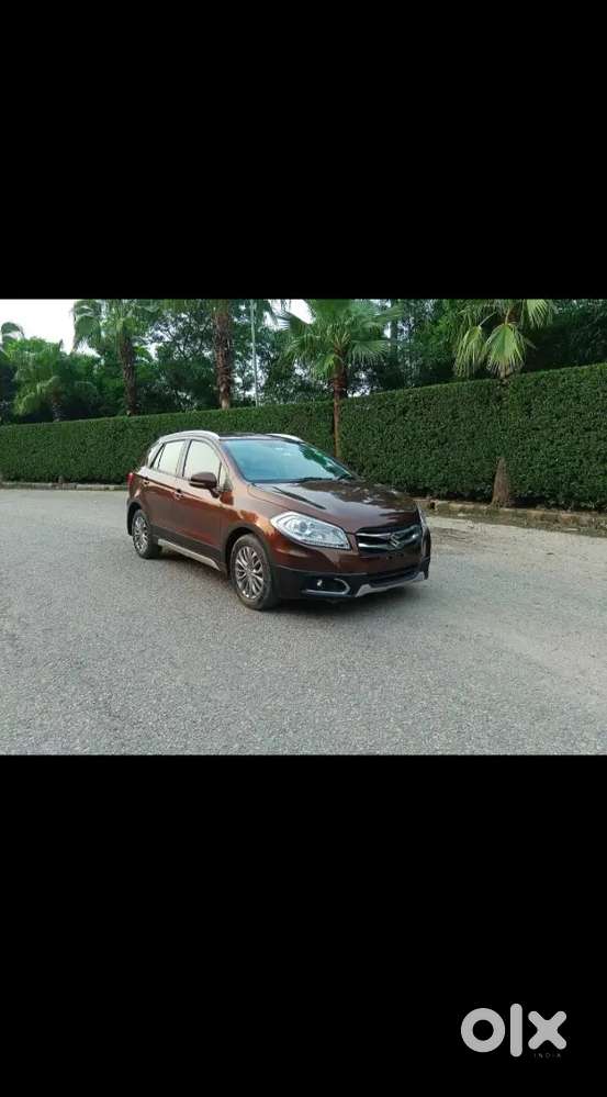 Maruti Suzuki Alpha 2016