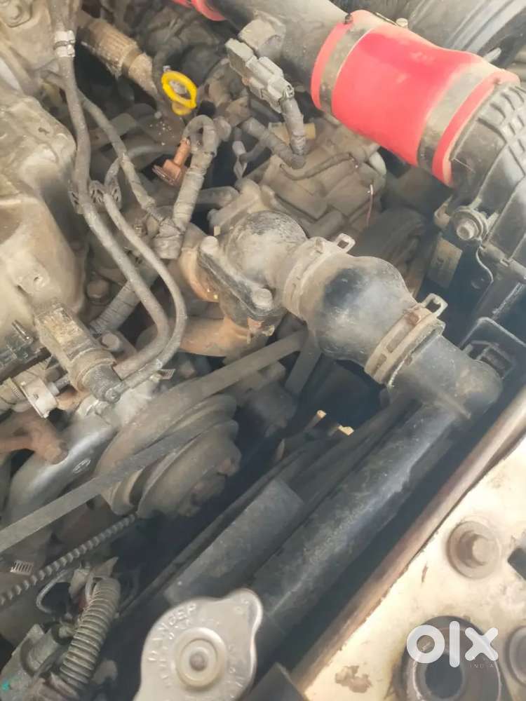 Sumo Gold Good Condition