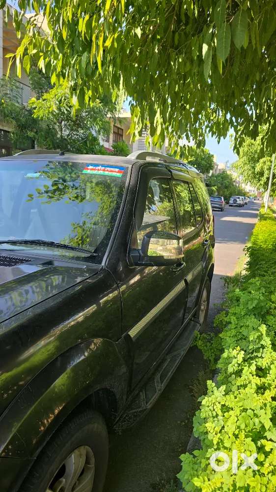 Tata Safari Storme 2015 Diesel Well Maintained