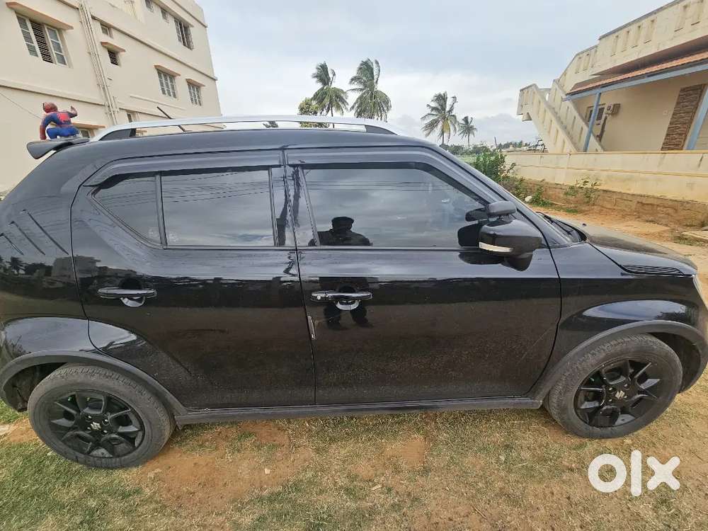 Maruti Suzuki Ignis 2024 1.2 Alpha Mt