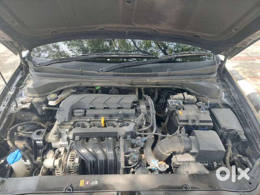 Hyundai Verna Vtvt 1.6 Sx, 2023, Petrol