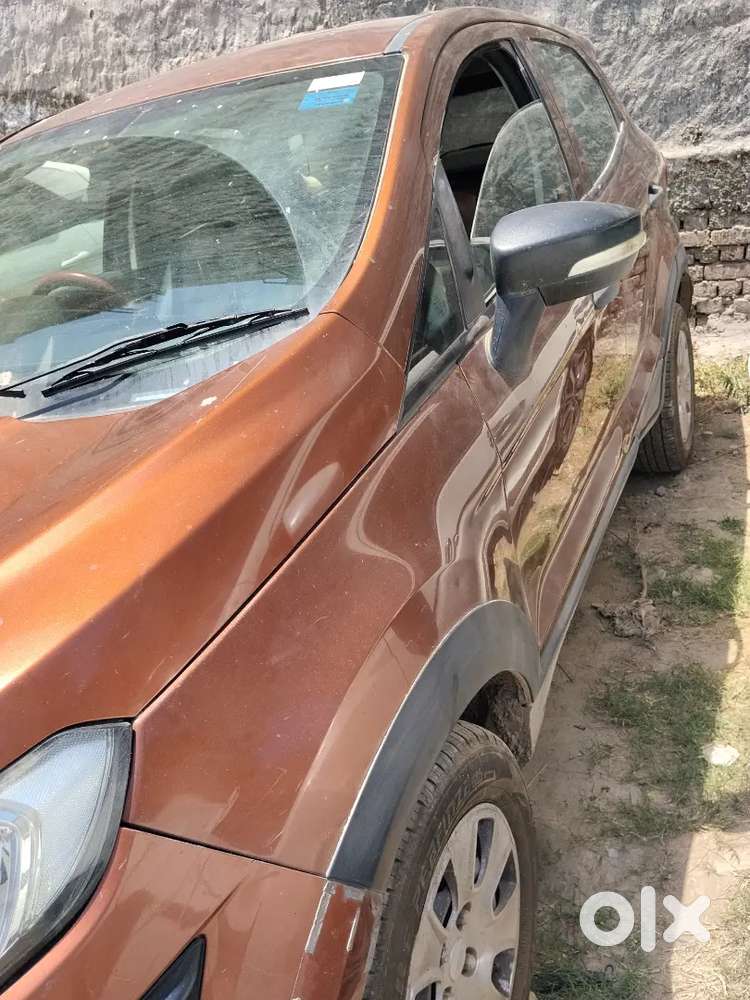 Original Paint