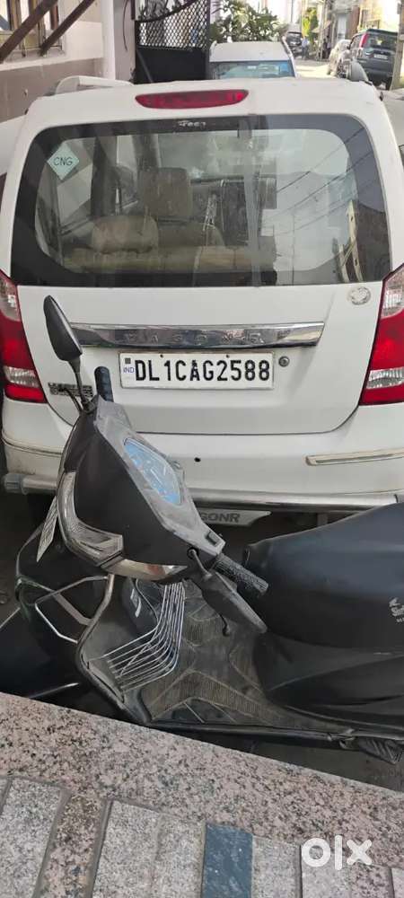 Company Fitted Cng On Paper One Hand Gadi