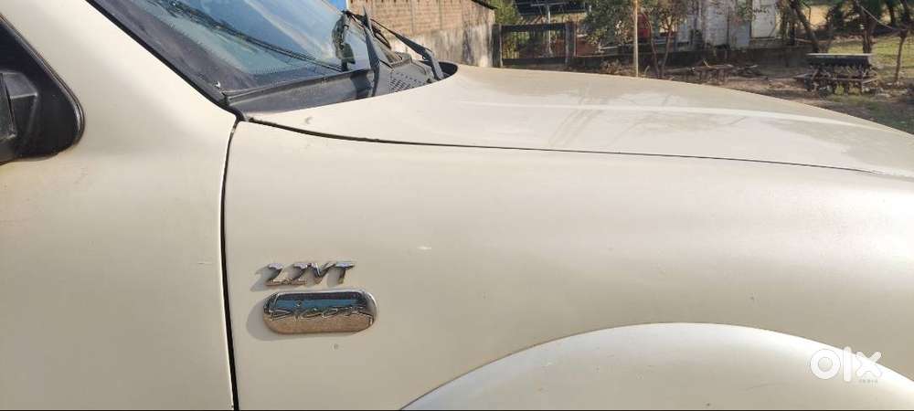 Vip Nomber. Panta 5 ( Mp 05 Mg 5555)