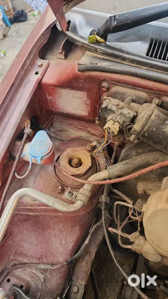 Maruti Suzuki Alto 2013 Petrol