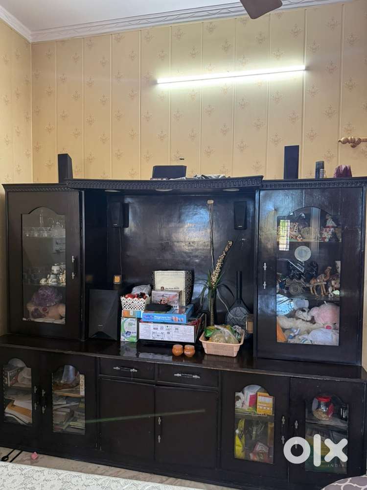 Cabinet for TV and storage