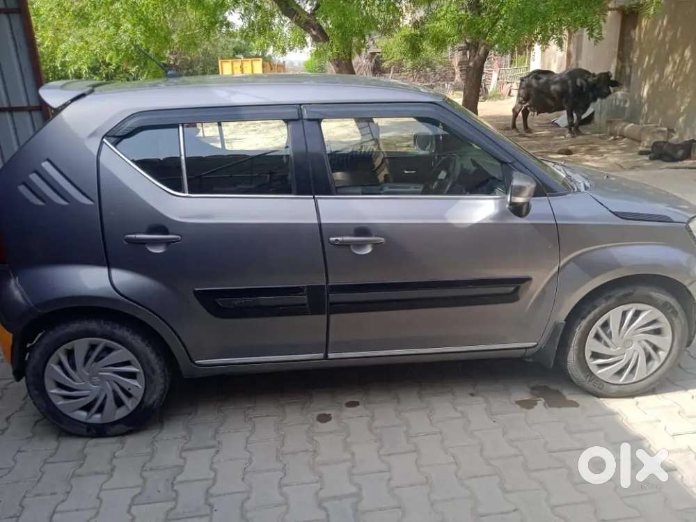 Maruti Suzuki Ignis Petrol &cng
