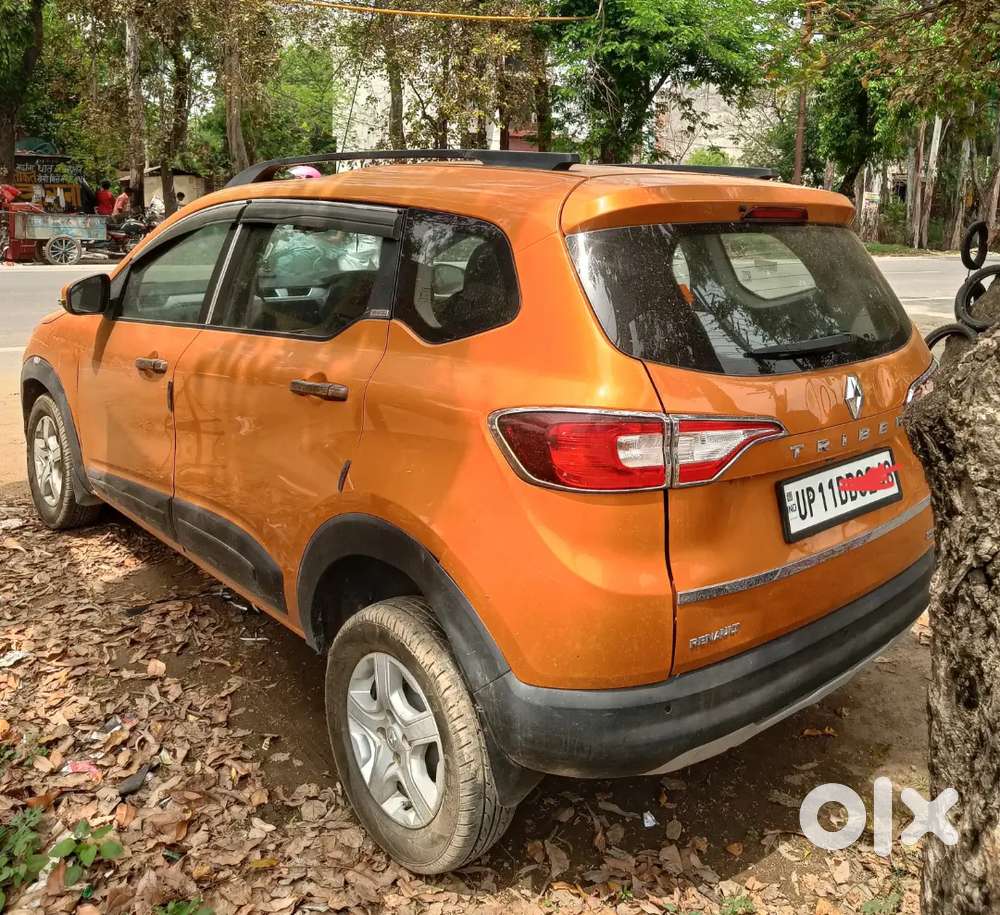 Pus Baten Starrt Top Model