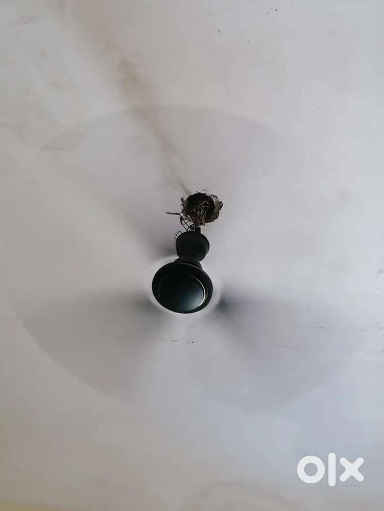 Ceeling fan