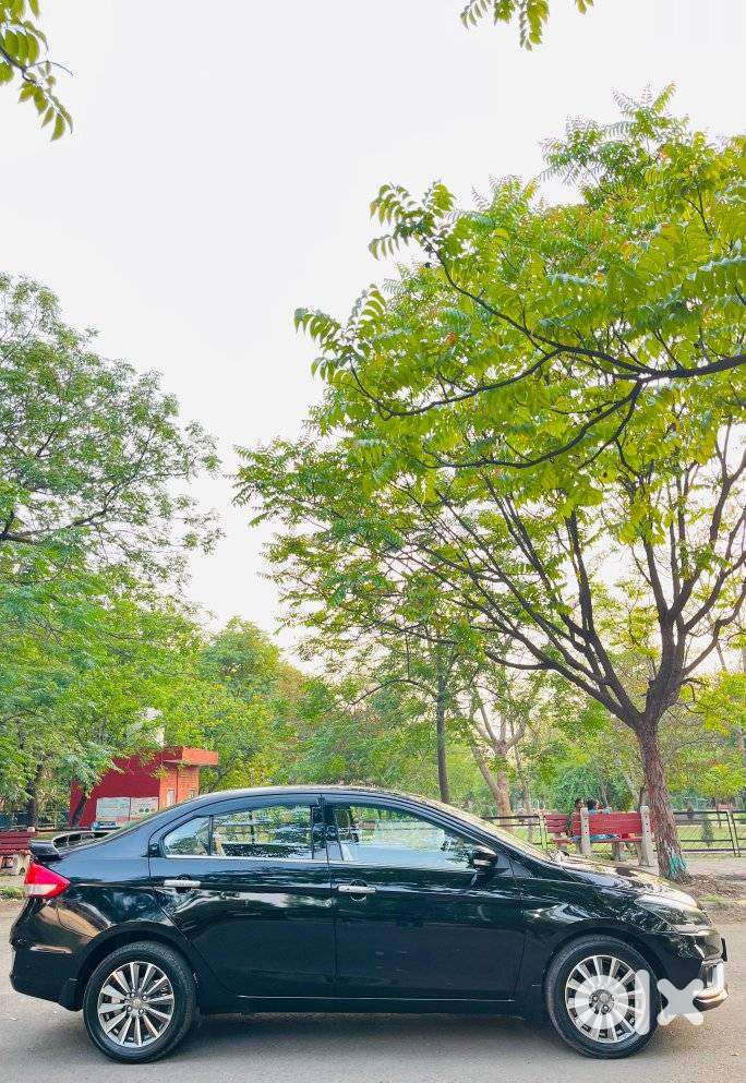 Maruti Suzuki Ciaz 1.5 Alpha Shvs Mt, 2023, Petrol