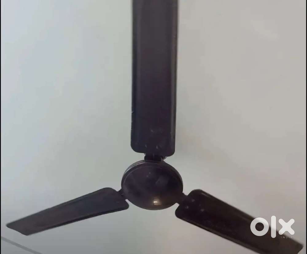 Ceiling fan