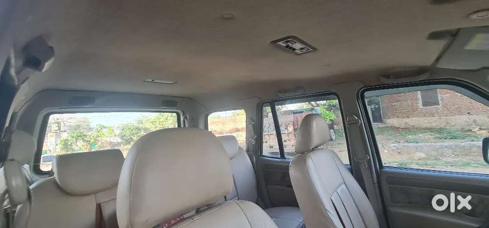 Scokripo 2014 Sale