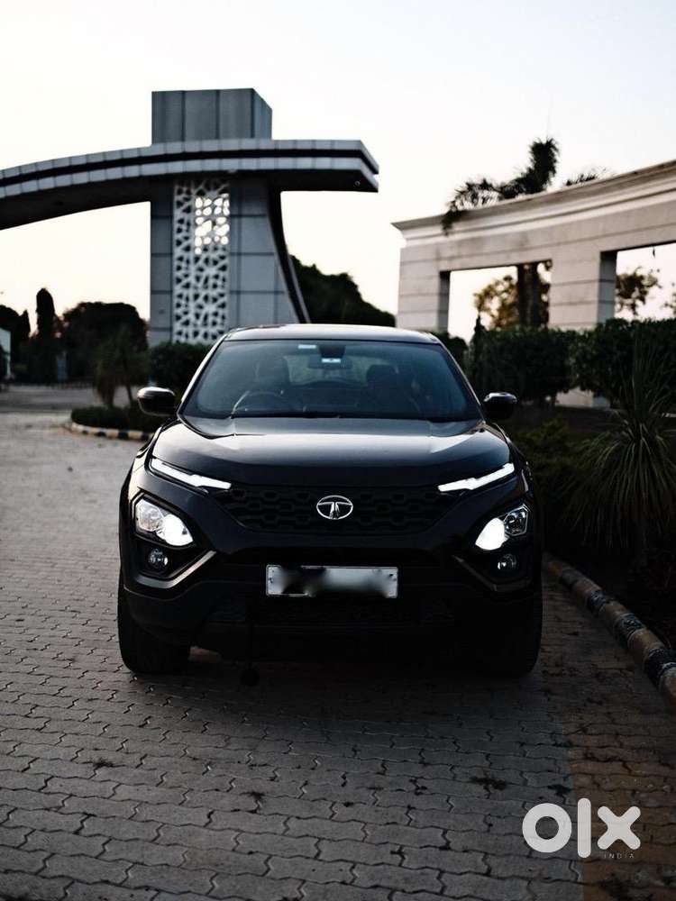 2021 Model