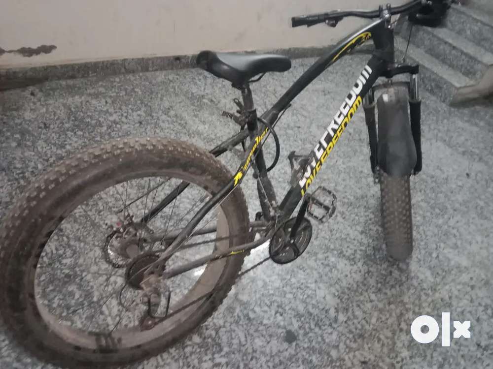 Fat bike online olx