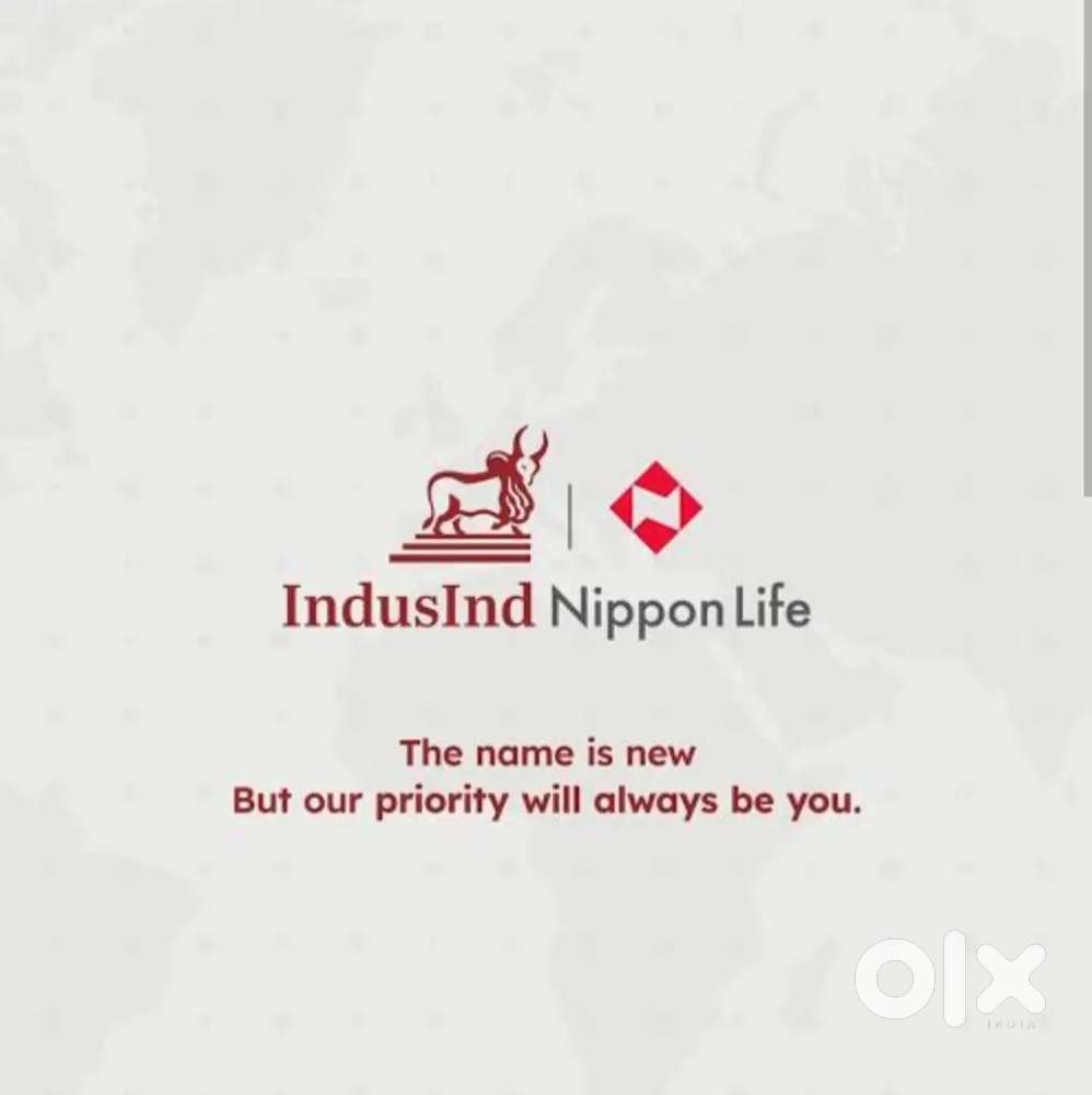 Insurance Manager