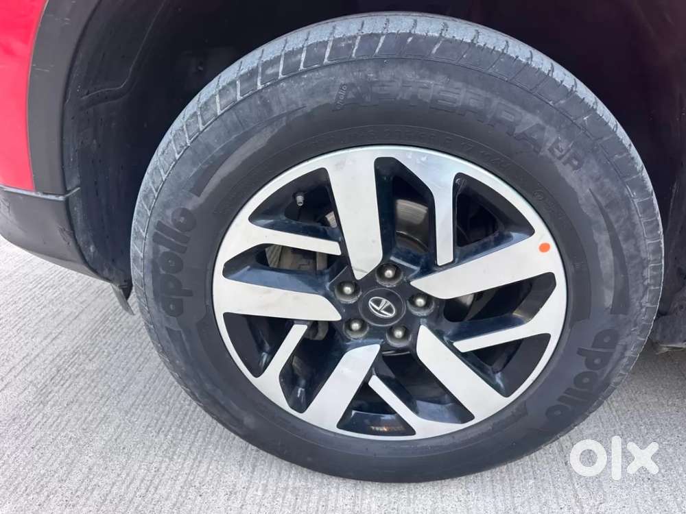 Tata Harrier 2.0 Xza Plus Kaziranga Edition, 2023, Diesel